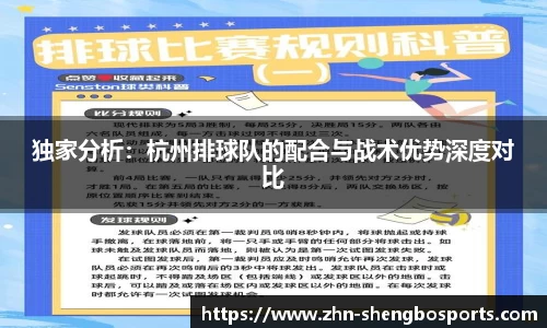 独家分析：杭州排球队的配合与战术优势深度对比